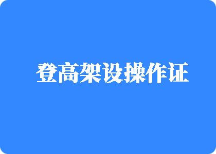 肏啊啊啊啊啊啊啊啊啊啊啊啊啊啊啊啊啊啊啊视频登高架设操作证